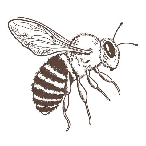 Bee Art Illustration, Bee Theme Drawing, Simple Bee Sketch, Honey Bee Drawing Simple, Simple Bee Drawing, Honey Bee Art Drawings, Drawing Of Bee, Cute Insect Drawings, Drawing A Bee