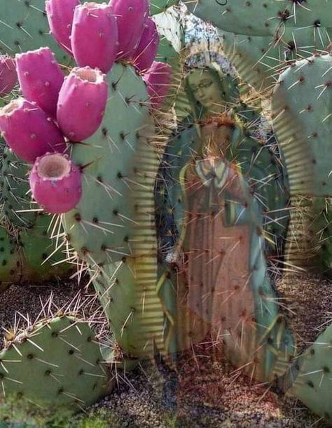 Mexican Western Aesthetic, Mexican Catholic Art, Mexican Gothic, Free Spirit Art, Latina Aesthetic, Chicano Love, Graffiti Words, Virgin Of Guadalupe, Mama Mary