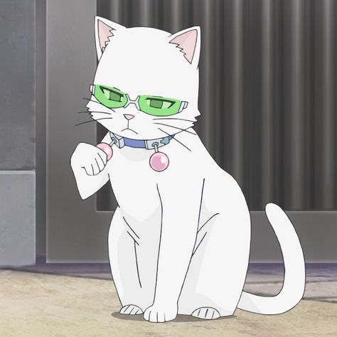 Cat Saiki, Kuriko Saiki, Miyuki Shirogane, Saki K, Kaguya Shinomiya, Kusuo Saiki, Psi Nan, Comedy Anime, Disastrous Life Of Saiki K