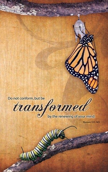 Just Continue That Thought...: “It is imperative that you begin identifying those... Kristen Ramsey, Romans 12:2, Butterfly Scripture, Bible Romans, Do Not Conform, Butterfly Quotes, Scripture Print, Romans 12, Scripture Art