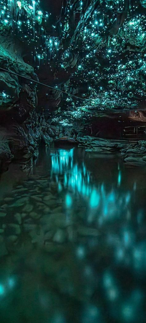 Waitomo Glowworm Caves, Nova Zelândia Glowing Crystal Cave, Bioluminescent Cave, Under Water Cave, Cave Room Ideas, Cave Interior Design, Cave Stalactites, Mushroom Cave, Gem Cave, Magical Cave