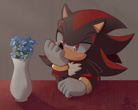 QuARK19601 - Hobbyist, Digital Artist | DeviantArt Shadow And Maria, Shadow Sonic, Sonic Fan Characters, Sonic Franchise, Hedgehog Art, Tikal, Shadow Pictures, Shadow Art, Sonic And Shadow