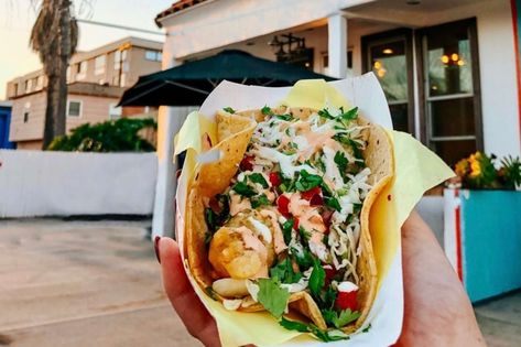 San Diego Tacos, Best Fish Tacos, Fried Fish Tacos, Battered Fish Tacos, Tuna Tacos, Mexican Seafood, Chipotle Aioli, Beer Battered Fish, Tempura Batter