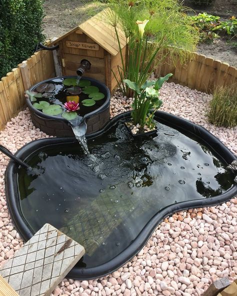 Coy Pond, Outdoor Fish Ponds, Small Fish Pond, Fish Ponds Backyard, Small Backyard Ponds, Slider Turtle, Kolam Koi, Fish Pond Gardens, Backyard Ponds