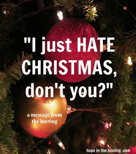 I just hate Christmas, don't you? I Don’t Like Christmas Quotes, Christmas Sucks, I Hate Christmas, Spending Christmas Alone, Christmas Shopping Memes Humor, I Hate The Way I Don't Hate You, Anti Christmas, Christmas Alone, 23 Birthday