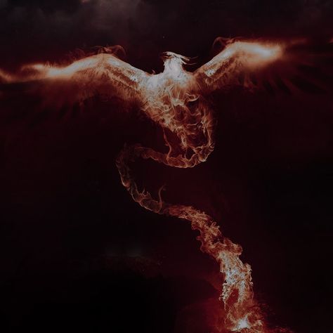 King Of Fire Aesthetic, Fire Bird Aesthetic, Phoenix Bird Aesthetic, Dragon Flame Aesthetic, Fire Magic Aesthetic Male, Phoniex Bird Aesthetic, Fire Bending Aesthetic, Pyrokenisis Aesthetic, Wildfire Druid Aesthetic