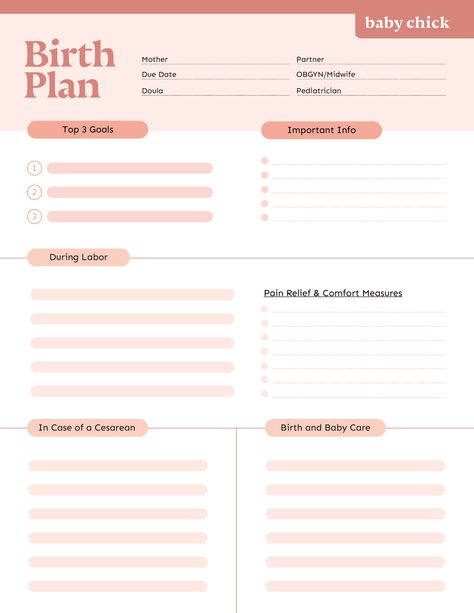 Baby Chick Birth Plan template Birth Plan Template Printables Free, Planning Printables Free, Birth Plan Template, Adulting Quotes, Bad Girl Wallpaper, Birth Story, Baby Planning, Baby Chick, Birth Plan