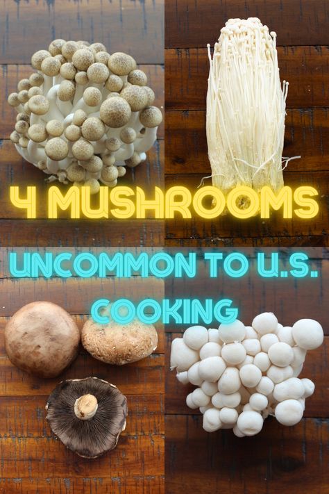 Great cooking with mushrooms goes way beyond portobello or white button. Here is a short summary of some mushrooms that can add a creative and exciting twist to your dishes. Try them and you will never buy a white button mushroom again! #yaykosher #koshermushroom #kosherdishes #mushrooms Chinese Mushrooms, Mushroom Barley Soup, White Button Mushrooms, Vegetable Lo Mein, Corn Bread Bake, Lo Mein Recipes, White Mushrooms, Barley Soup, Vegetarian Chili