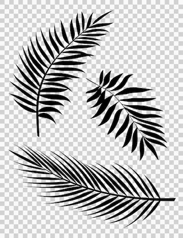 Premium Vector | Palm leaves vector illustration set of realistic palm tree leaf silhouettes black color shapes Tropisches Tattoo, Drawing Ideas Easy Doodles, Palm Tree Leaf, Tree Logo Design, Palm Leaf Design, Leaf Outline, Drawing Ideas Easy, Leaf Silhouette, Palm Leaves Pattern