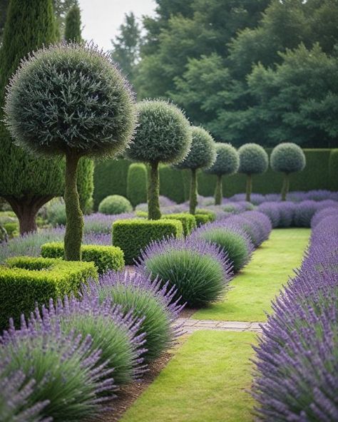 Topiary Garden Ideas, Evergreen Garden Design, Yew Topiary, Elegant Landscaping, Live Topiary, Flower Topiary, Boxwood Landscaping, Outdoor Topiary, Evergreen Landscape