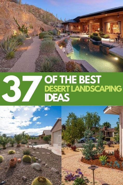 Desert Landscaping Ideas, Drought Tolerant Landscape Front Yard, Desert Landscape Front Yard, Desert Landscaping Backyard, Desert Landscape Design, Xeriscape Front Yard, High Desert Landscaping, Desert Backyard, Mexican Desert