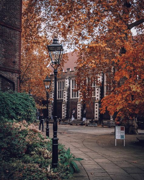 Temple is a historic legal district, home to the Royal Courts of Justice and judicial establishments like Middle Temple, one of London’s 4 Inns of Court, with gardens beside the Thames and a grand 16th-century hall. 🍂🍁 ———————————————————— #autumninlondon #templelondon #temple #architecture #christmas2019 #london  #englishtravel #englandtravel #britain  #lundonlens #photosofbritain  #weloveengland #welovebritain #bestofbritain #bestbritishphoto #topukphoto #bestukphotos #topukphoto #anglophile Ireland Autumn, Autumn Images, Modern Halloween, Some Beautiful Pictures, Autumn Scenes, Autumn Beauty, Fall Pictures, Autumn Cozy, Autumn Aesthetic