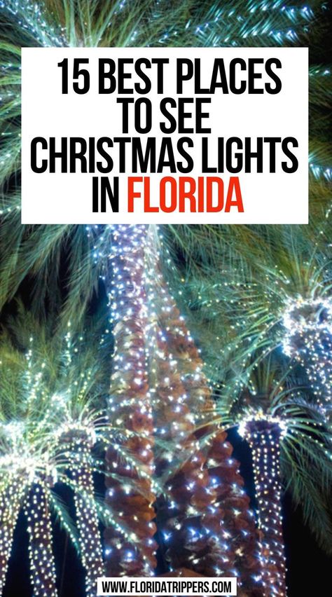 15 Best Places To See Christmas Lights in Florida Christmas In St Augustine Florida, Christmas In Florida Decorations, Florida Christmas Decorations Outdoor, Florida Christmas Wallpaper, Florida Christmas Decorations, Florida At Christmas, Things To Do Christmas, Legoland Florida Christmas, Christmas In Florida