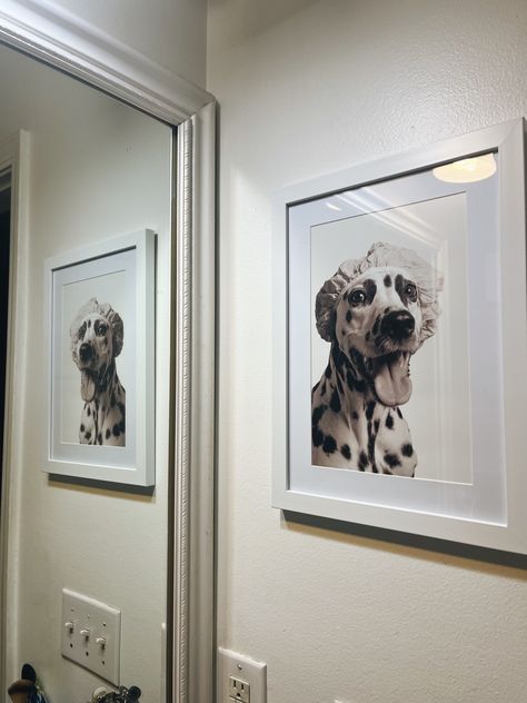 Bathroom Photo Ideas Wall Art, Bathroom Photo Decor, Dog Bathroom Wall Art, Dog Bathroom Photoshoot, Dog Bath Photoshoot, Photos For Bathroom Wall, Dog Bathroom Pictures Diy, Pet Bathroom Photos, Dogs Pooping Bathroom Decor