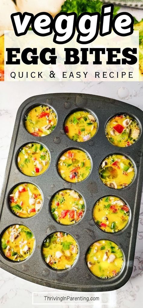 Looking for an easy and healthy breakfast recipe? Try these baked veggie egg bites made in mini muffin tins packed with nutrients that fit your diet! This veggie egg bites muffin tins recipe is perfect for those looking for quick and easy breakfast or even low carb snacks. The best part? You can make a big batch of this homemade veggie egg bites recipe and store in the freezer for later, making it a convenient option for those busy mornings, perfect for busy moms. Easy recipes for busy moms. Healthy Eggs Bites, Egg Bites Muffin Tins Recipe, Egg Bites With Veggies, Veggie Egg Bites Muffin Tins, Egg Bites Veggie, Easy Big Batch Meals, Egg Muffin Bites, Egg Bites No Cottage Cheese, Easy Egg Bites Muffin Tins