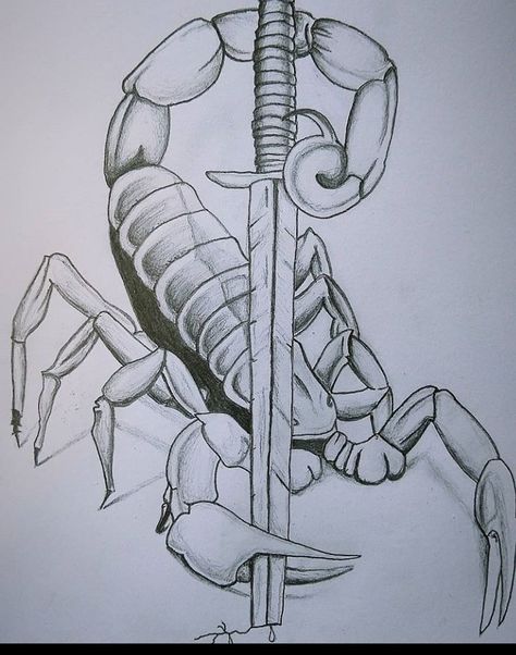 #scorpio#drawing#art#tattoo#drawingsketch Scorpio Drawing Art, Scorpio Drawing, Scorpio Art, Scorpion Tattoo, Scorpio Zodiac, Anime Scenery Wallpaper, Sketchbook Art Inspiration, Pencil Sketch, Scenery Wallpaper