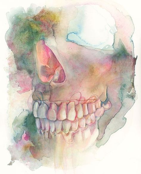 Dental Branding, Dentist Art, Dental Photos, Teeth Art, Dental Anatomy, Medical Pictures, Dental Office Decor, Dental Art, Skull Painting