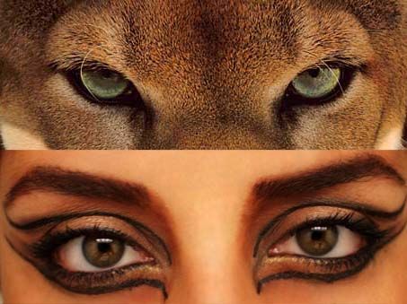 Okay, that's pretty sick Cougar Halloween Makeup, Lion Eye Makeup, Cougar Halloween Costume, Cougar Makeup, Lioness Makeup, Cougar Costume, Steampunk Wizard, Lion Video, Lion Face Paint