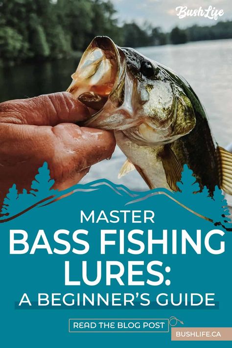 Are you new to bass fishing? Don't worry, we've got you covered! Our beginner's guide on choosing the best bass fishing lures is perfect for anyone just starting out. We've included tips and tricks on what to look for in a lure and some of our favorite picks. Get ready to reel in some big ones! | #fishing #bassfishing #beginnersguide #bushlife | Best Bass Fishing Lures, Best Bass Lures, Kayak Bass Fishing, Crappie Fishing Tips, Bass Bait, Fishing For Beginners, Fly Fishing Tips, Bass Fishing Lures, Bass Fishing Tips