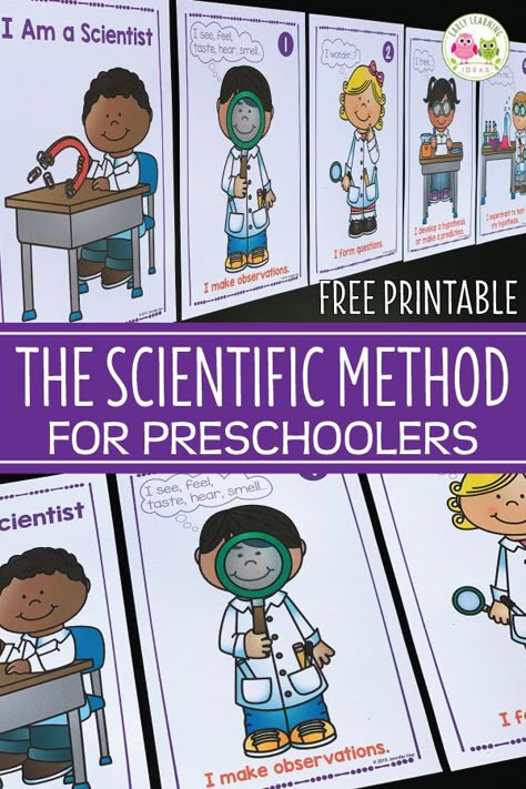 Scientific Method For Preschoolers, Scientific Method Preschool, Science Center For Kindergarten, Preschool Scientific Method, Science Area Ideas For Preschool, Scientist Preschool Activities, Kindergarten Science Classroom Decor, Kindergarten Work Bulletin Board, Preschool Science Theme