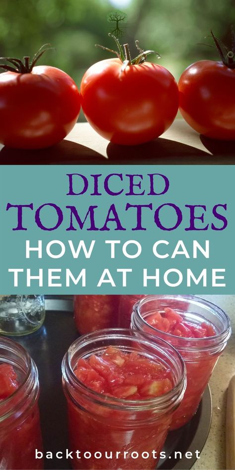 Tomato harvest getting out of hand? Yay! That means there's more to put in the canning pantry. Let me walk you through canning tomatoes in 2 easy ways: diced or whole. Canning Pantry, Homestead Canning, Fall Canning, Canning Instructions, Farming Tips, Harvesting Honey, Tomato Harvest, Convent Garden, Food Prepping