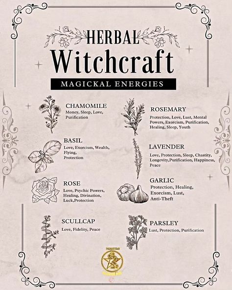 🌿✨ Embrace the magic of herbal witchcraft! ✨🌿 As herbal witches, we connect deeply with nature and harness the power of plants for healing, protection, and transformation. 🌱✨ From crafting potions and herbal remedies to creating sacred spaces, every herb has its own unique energy and purpose. 🌼🌙 Whether it's the calming properties of lavender or the protective energy of sage, each plant offers a special gift. 🌸💫 Let's celebrate the beauty of herbal magic and share our favorite herbs, recipe... Herb Properties Witch, Plants For Witchcraft, Lavender Magical Properties, Healing Herbs Witchcraft, Witchcraft Herbs Meanings, Herbal Magic Witchcraft, Potions Recipes Witchcraft, Herbology Witchcraft, Magic Potion Recipe