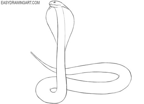 Snake Drawing Simple, Cobra Drawing, Snake Drawing, Drawing Guides, Dangerous Animals, Guided Drawing, Drawing Tips, Drawing Tutorial, Animal Drawings