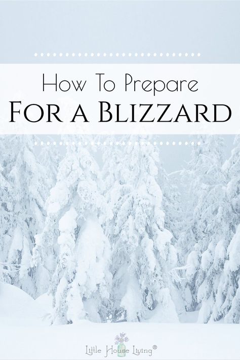 Winter Storm Essentials, Blizzard Preparedness, Emergency Notebook, Winter Storm Prep, Winter Storm Preparedness, Cold Weather Hacks, Winter Preparation, Winter Preparedness, Emergency Hacks