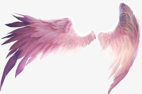 Angel Wings Png, Angel Wings Drawing, Wings Png, Angel Wings Art, Picsart Png, Wings Drawing, Wings Art, Anime Angel, Anime Poses Reference