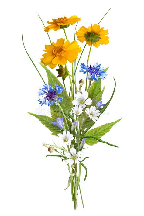 Wildflower Bouquet Illustration, Wild Flowers Bunch, Wild Flower Bouquet Painting, Bunch Of Wild Flowers, Buqet Flowers Drawings, Sunflower Bouquet Tattoo Wild Flowers, Painting Of Bouquet Of Flowers, Wildflower Bouquet Tattoo Colour, Wildflower Field Tattoo