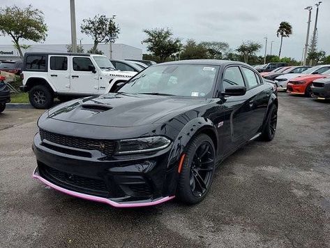 2023 Dodge Charger Scat Pack for sale in Miami, FL - CARFAX Dodge Charger Scat Pack, Charger Scat Pack, 2023 Dodge Charger, Charger Srt Hellcat, Dodge Charger Srt, Charger Srt, Srt Hellcat, Scat Pack, Wide Body