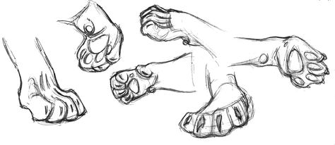 Lion paw field sketch drawings - Gary Geraths Tiger Paw Reference, Lion Paws Drawings, Feline Paw Reference, Lion Anatomy Reference, Feline Paws Drawing, Tiger Paws Reference, Lion Paws Reference, Lion Paw Drawing, Tiger Paw Drawing