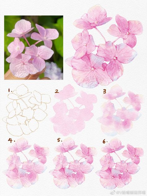 Painting Flowers Tutorial, Flower Drawing Tutorials, Watercolor Flowers Tutorial, Watercolor Lessons, Watercolor Flower Art, Watercolor Painting Techniques, 수채화 그림, Watercolor Paintings Tutorials, Watercolor Art Lessons