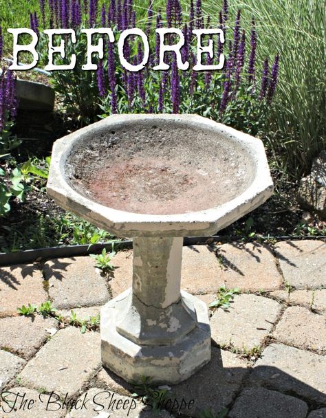 Concrete birdbath before. Painted Concrete Bird Bath, Painting A Cement Birdbath, How To Paint A Concrete Bird Bath, Bird Bath Makeover Concrete, Painted Birdbath Ideas, Painting Concrete Bird Bath, Painted Bird Bath Ideas, Painting A Bird Bath, Bird Bath Painting Ideas Concrete