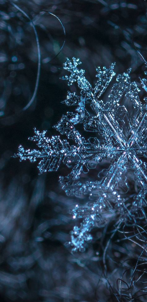 Snowflake Photography, Snowflake Wallpaper, Iphone Wallpaper Winter, Amoled Wallpapers, Wallpaper Iphone Christmas, Winter Wallpaper, Winter Scenery, New Images, Photography Wallpaper