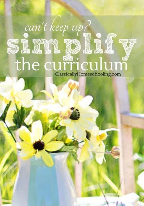 After hearing everyone raving about Teaching From Rest, I decided to check it out and ran across the post How to Simplify the Curriculum on Amongst Lovely Things. Homeschool Elementary Science, Homeschool Middle School Curriculum, Teaching From Rest, Organized Homeschool, Homeschool Styles, Homeschool High School Curriculum, Classical Homeschool, Kindergarten Homeschool Curriculum, Unit Studies Homeschool