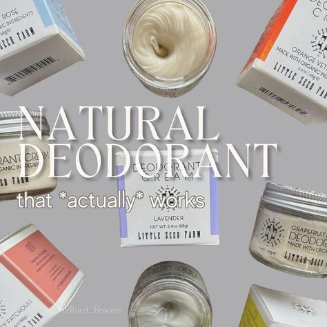 I tried what felt like hundreds of natural deodorants before I found Little Seed Farm. 🌿 This deodorant cream has been a lifesaver for not only me, but so many of you as well! (you keep selling us out of it!!) We are currently fully stocked on ALL scents, and 5 bulk scents: lavender, cedar vanilla, rosemary patchouli, grapefruit lemon, and blue lotus! Want to try before you buy? Swing by, we have sample packs! - natural deodorant aluminum free baking soda free eco friendly products Refill Store, Deodorant Aluminum Free, Deodorant Cream, Eco Friendly Products, Only Me, Aluminum Free Deodorant, Sample Packs, Blue Lotus, Natural Deodorant