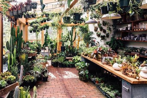 These Are the Prettiest Plant Shops In the World | domino Plant Shops, Greenhouse Plans, Garden Cafe, Garden Nursery, Office Plants, Pretty Plants, Garden Shop, Plant Nursery, Garden Room