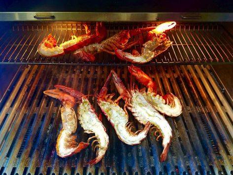 Smoked Lobster | GrillinFools Smoked Lobster, Brisket Oven, Lobster Boil, Live Lobster, Rib Recipe, Traeger Recipes, Grilled Dinner, Coffee Chocolate, Bbq Rub