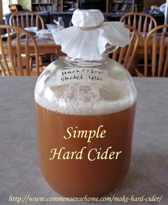 Making Hard Cider, Homemade Alcohol, Hard Apple Cider, Homemade Liquor, Cider Making, Cider Recipe, Homemade Wine, Hard Cider, Alcohol Recipes