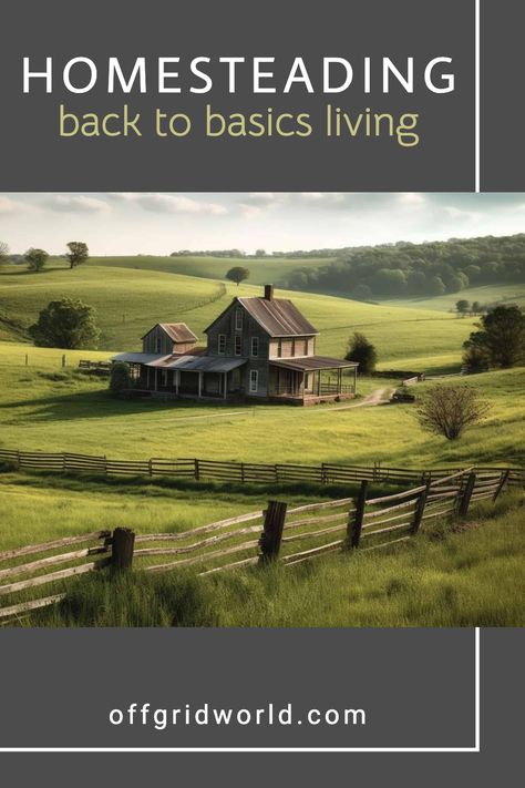 Are you ready to make a change in the way you live your life? Homesteading practices can be utilized no matter where you live. Create a sustainable lifestyle that's rooted in nature and self-sufficiency. From growing your own food to building DIY projects, you'll find all the tips and tricks you need to make your dream homestead a reality. Homestead Tips, Homestead Act, Homestead Design, Homesteading Diy Projects, Dream Homestead, Homestead Lifestyle, Sustainable Homestead, Self Sufficient Homestead, Growing Your Own Food