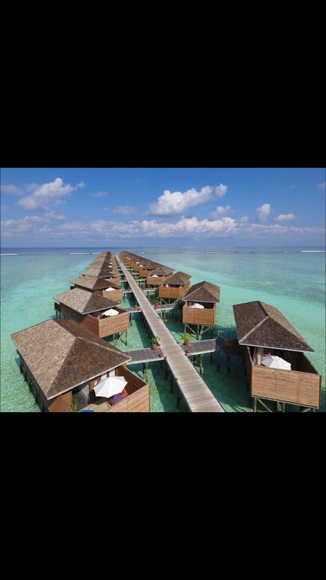 Meeru Island Resort & Spa-Maldives Island Resort, Resort Spa, Maldives, Opera House, Sydney Opera House, Spa, Pool, Building, Outdoor Decor