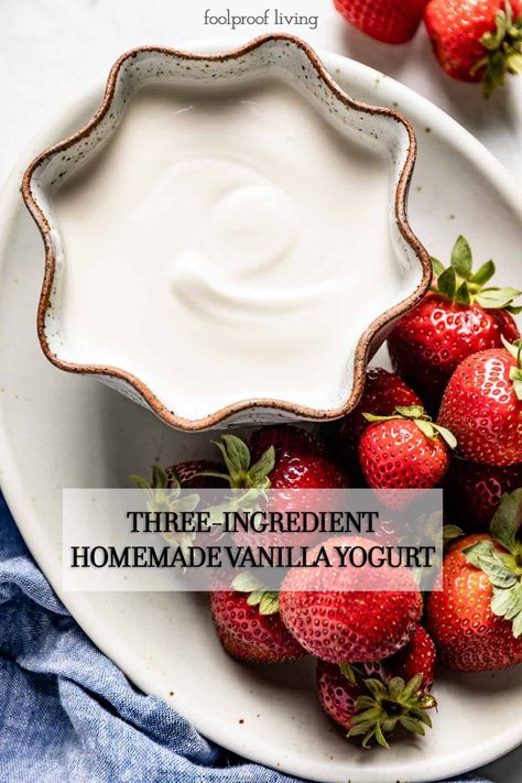 Vanilla Yogurt From Plain Yogurt - Foolproof Living Homemade Vanilla Yogurt, Plain Yogurt Recipes, Greek Yogurt Recipes Healthy, Vanilla Yogurt Recipes, Whey Recipes, Yogurt Recipes Healthy, Lean Recipes, Yogurt Parfait Recipe, Vanilla Frozen Yogurt