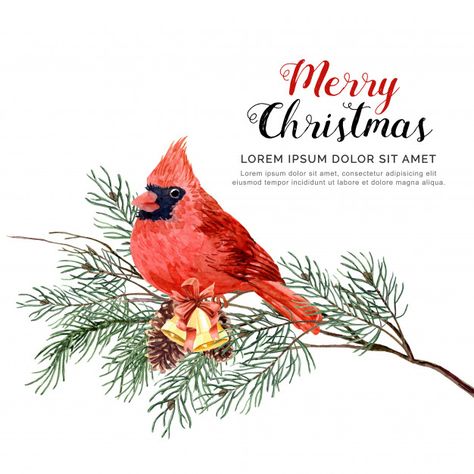 Cardinal Christmas Cards, Christmas Graphic Design, Bird Christmas, Christmas Cardinals, Christmas Blessings, Cardinal Bird, Watercolor Christmas Cards, Christmas Bird, Christmas Graphics