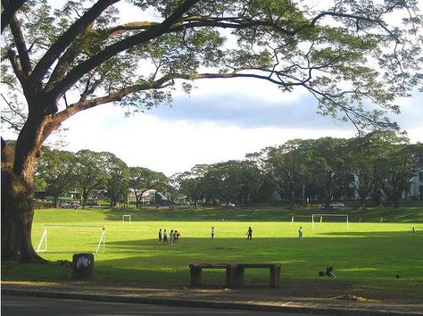 Sunken Garden Up Diliman Aesthetic, Up Sunken Garden, Sunken Garden Up Diliman, School Garden Aesthetic, Up Diliman Aesthetic, University Of The Philippines Diliman, Up Diliman, University Of Santo Tomas, Philippines Culture