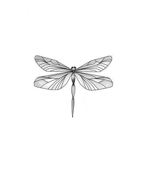 Dragon Fly Tattoo Outline, Dragonfly In Flight Tattoo, Vintage Dragonfly Tattoo, Dragonfly Tattoo Linework, Dragonfly Landing Tattoo, Dragon Fly Tattoo, Flying Tattoo, Dragon Flies, Dragonfly Tattoo