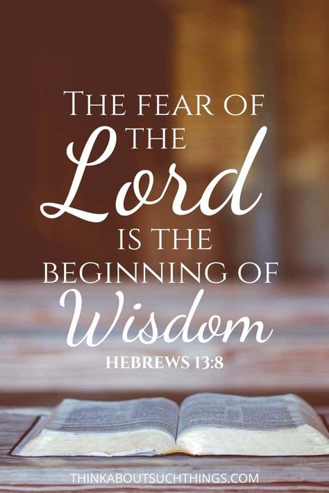 God Give Me Wisdom, Words Of God Spiritual Inspiration, Bible Wisdom Quotes Scriptures, Bible Wisdom Quotes, Gods Wisdom Quotes Spiritual Inspiration, The Wisdom Of God, Knowledge And Wisdom Bible Verse, Gods Wisdom Scriptures, Bible Verse On Faith