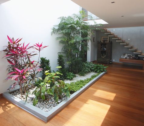 Courtyards in Peruvian Houses: 10 Projects and their Floor Plans,Cachalotes House / Oscar Gonzalez Moix. Image © Juan Solano Ojasi Indoor Planter Box, Atrium Design, Inside Garden, Building A Home, Courtyard Design, Urban Interiors, Garden Indoor, Garden Types, Indoor Gardens