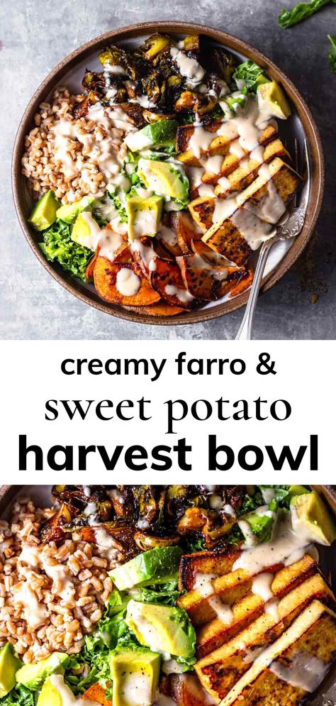 Farro Sweet Potato, Marinated Brussel Sprouts, Buddha Bowl Recipe, Healthy Fall Dinner, Grain Bowl Recipe, Harvest Bowl, Farro Recipes, Nourish Bowl, Sweet Potato Bowls