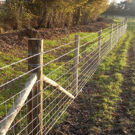 Cattle Fencing, Livestock Fencing, Sheep Fence, Stock Fencing, Como Plantar Pitaya, Livestock Fence, Panel Fence, Field Fence, Wire Fencing